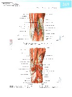 Sobotta  Atlas of Human Anatomy  Trunk, Viscera,Lower Limb Volume2 2006, page 376